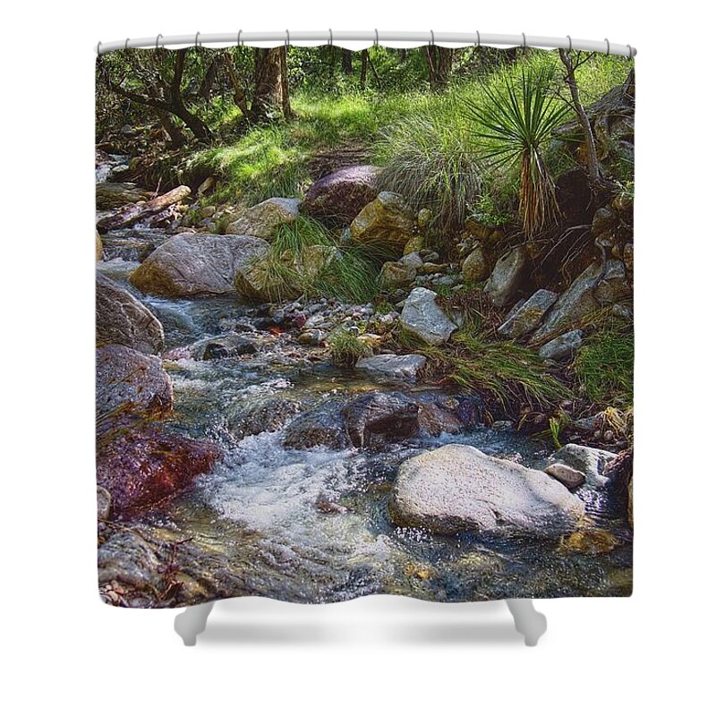 Arizona Shower Curtain featuring the photograph Love Is Here To Stay by Lucinda Walter