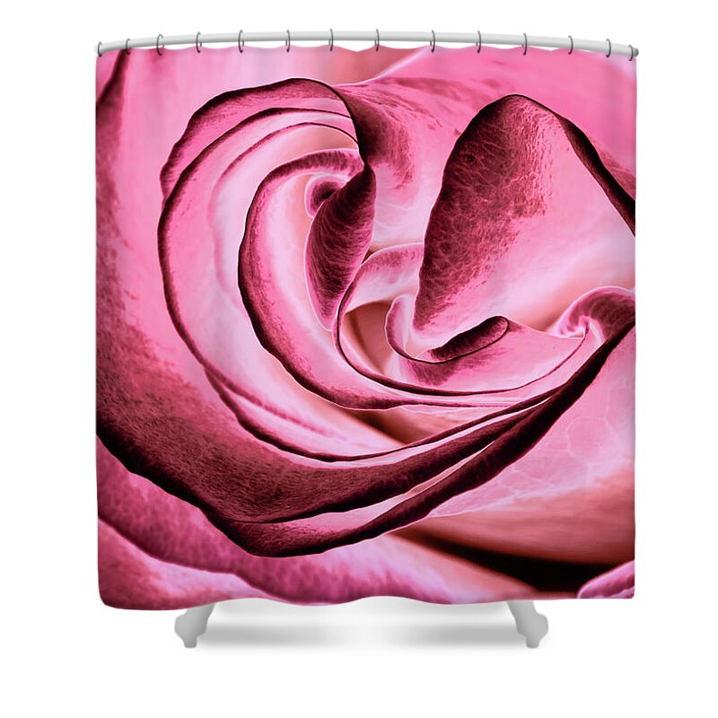 Rose Shower Curtain featuring the photograph Lovely Curves by Elvira Peretsman