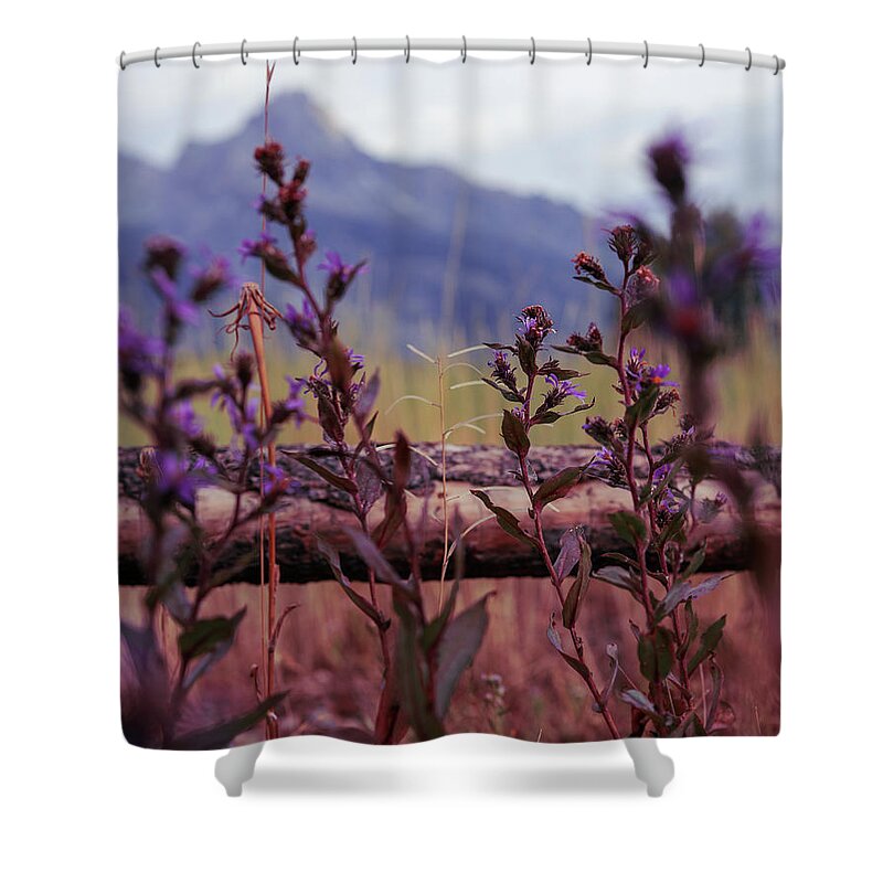 Mountain Shower Curtain featuring the photograph Lovely Lavender in Front by Go and Flow Photos