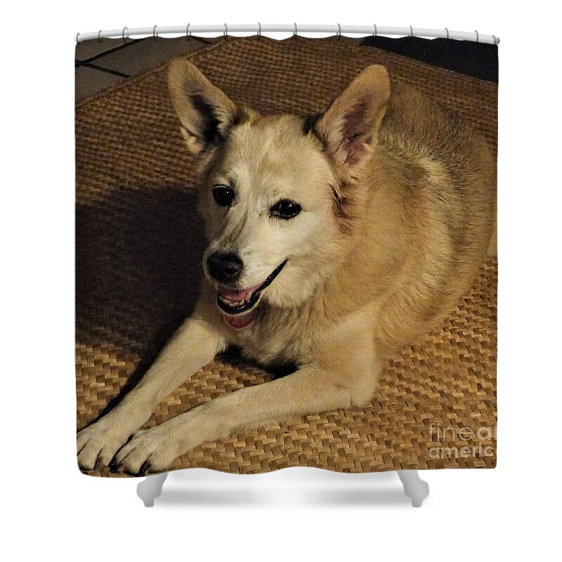 Tan Dog On Straw Mat Shower Curtain featuring the photograph Loving Company by Rosanne Licciardi