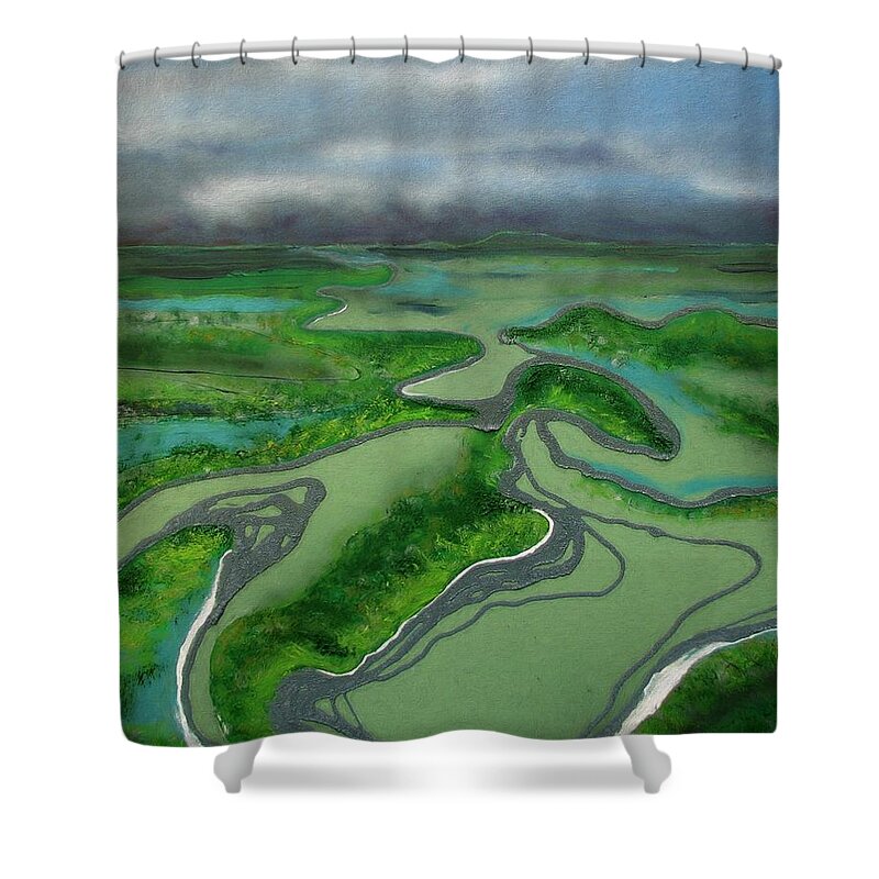 Aerial View Shower Curtain featuring the painting Low Tide by Joan Stratton