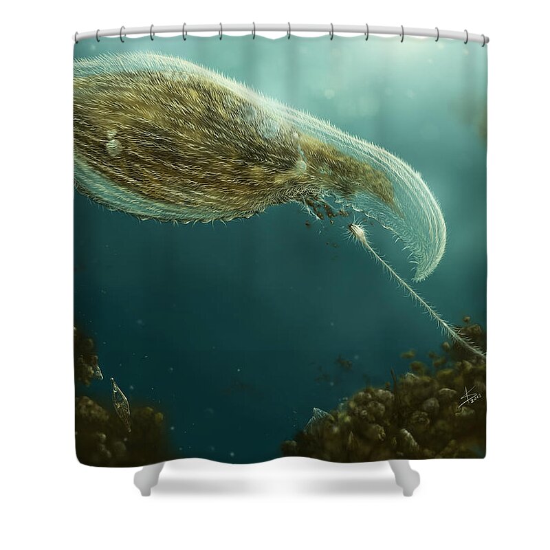 Protozoa Shower Curtain featuring the digital art Loxophyllum attacked by Lacrymaria by Kate Solbakk