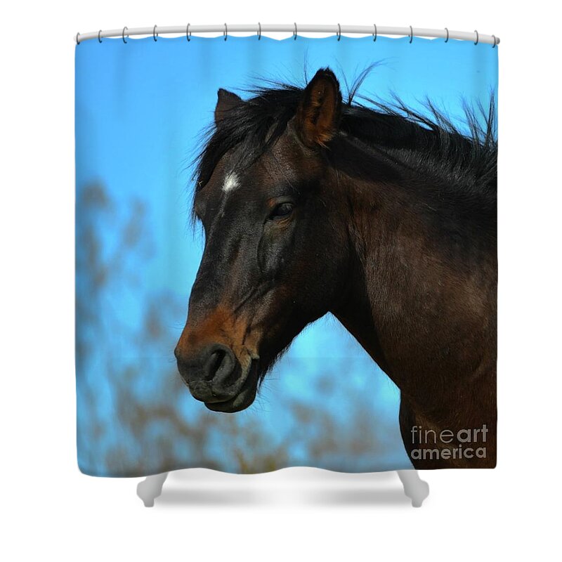Salt River Wild Horse Shower Curtain featuring the digital art Loyal by Tammy Keyes