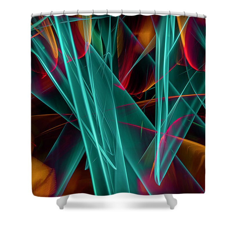  Shower Curtain featuring the photograph Lp 05 by Fred LeBlanc