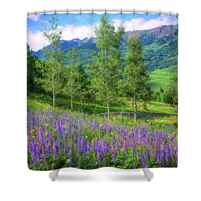Crested Butte Shower Curtain featuring the photograph Lupines of Mount Crested Butte by Lynn Bauer