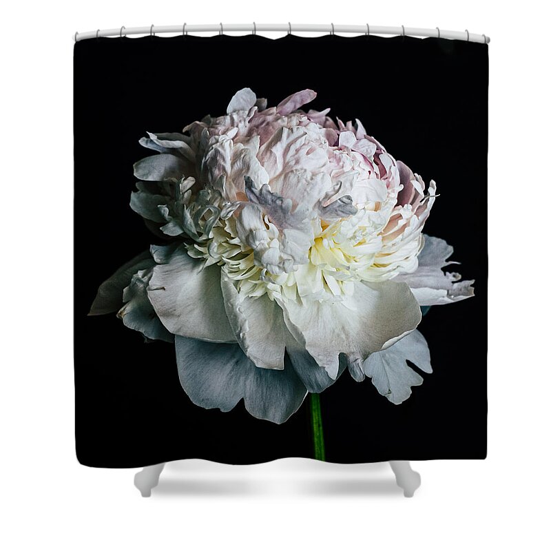 Still Life Shower Curtain featuring the photograph Lush by Maggie Terlecki