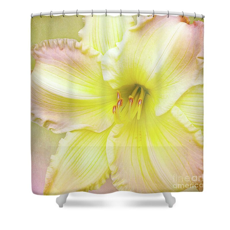Bloom Shower Curtain featuring the photograph Luxurious Lily by Kathi Mirto