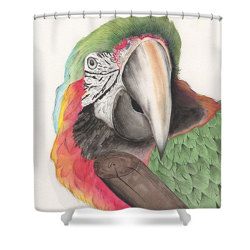Macaw Shower Curtain featuring the painting Macaw #2 by Bob Labno