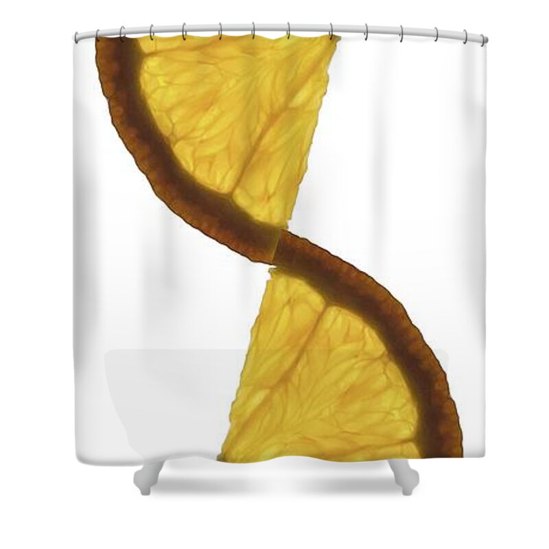 Macro Fruit Shower Curtain featuring the photograph Macro Kitchen Photo 2 by Donna Mibus
