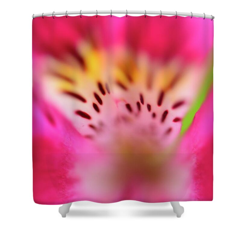 Flower Shower Curtain featuring the photograph Details in Pink #1 by John F Tsumas