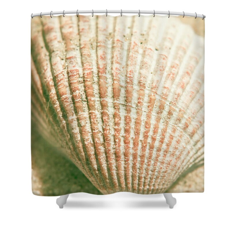 Macro Shower Curtain featuring the photograph Macro marine minimalism by Jorgo Photography