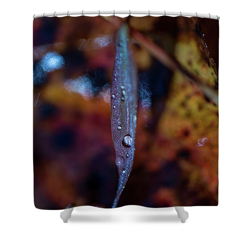 Fall Shower Curtain featuring the photograph Macro Photography - Autumn Water Drops by Amelia Pearn