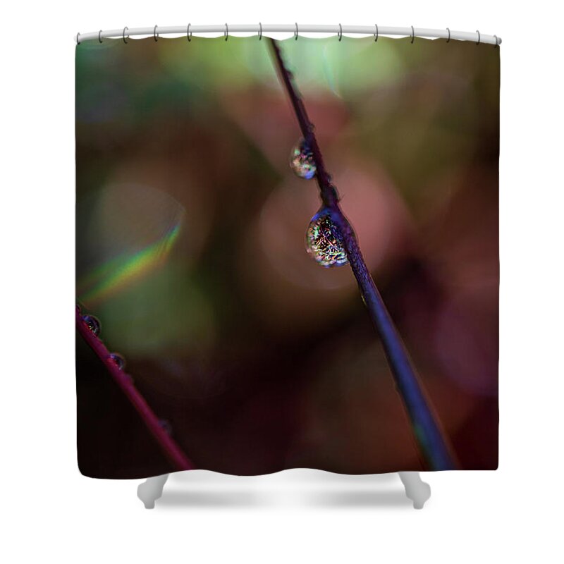 Fall Colors Shower Curtain featuring the photograph Macro Photography - Water Drops by Amelia Pearn
