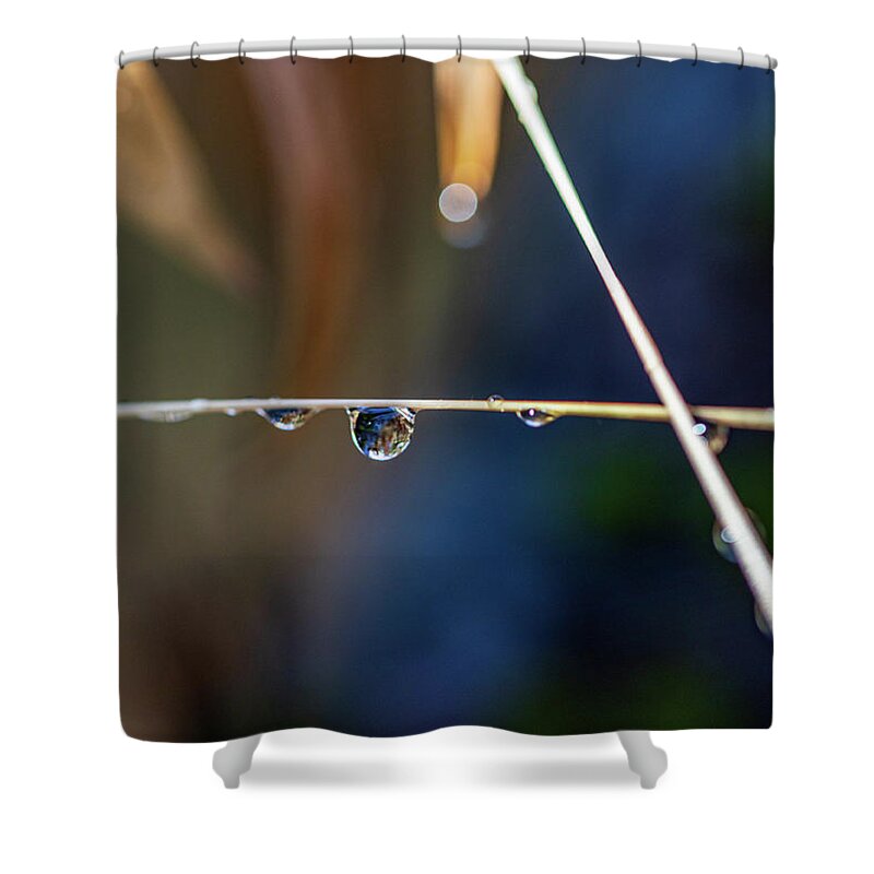Plants Shower Curtain featuring the photograph Macro Photography - Water Drops on Stem by Amelia Pearn
