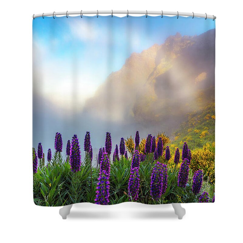 Atlantic Ocean Shower Curtain featuring the photograph Madeira by Evgeni Dinev