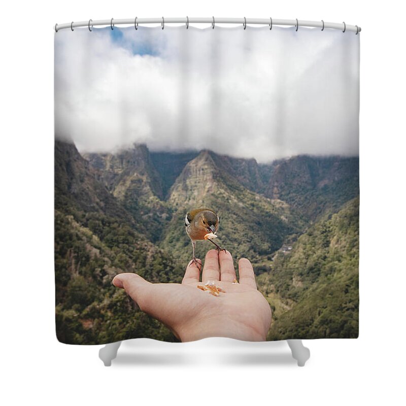 Balcoes Viewpoint Shower Curtain featuring the photograph Madeiran chaffinch has flown to the man's hand for food crumbs by Vaclav Sonnek