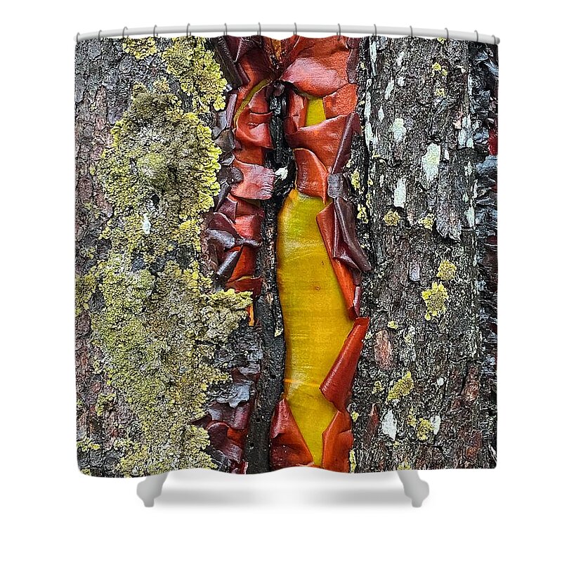 Abstract Shower Curtain featuring the photograph Madrone Tree Bark Abstract by Jerry Abbott