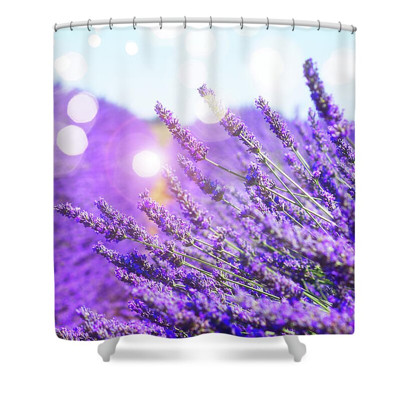 Lavender Shower Curtain featuring the photograph Magic Lavender by Anastasy Yarmolovich