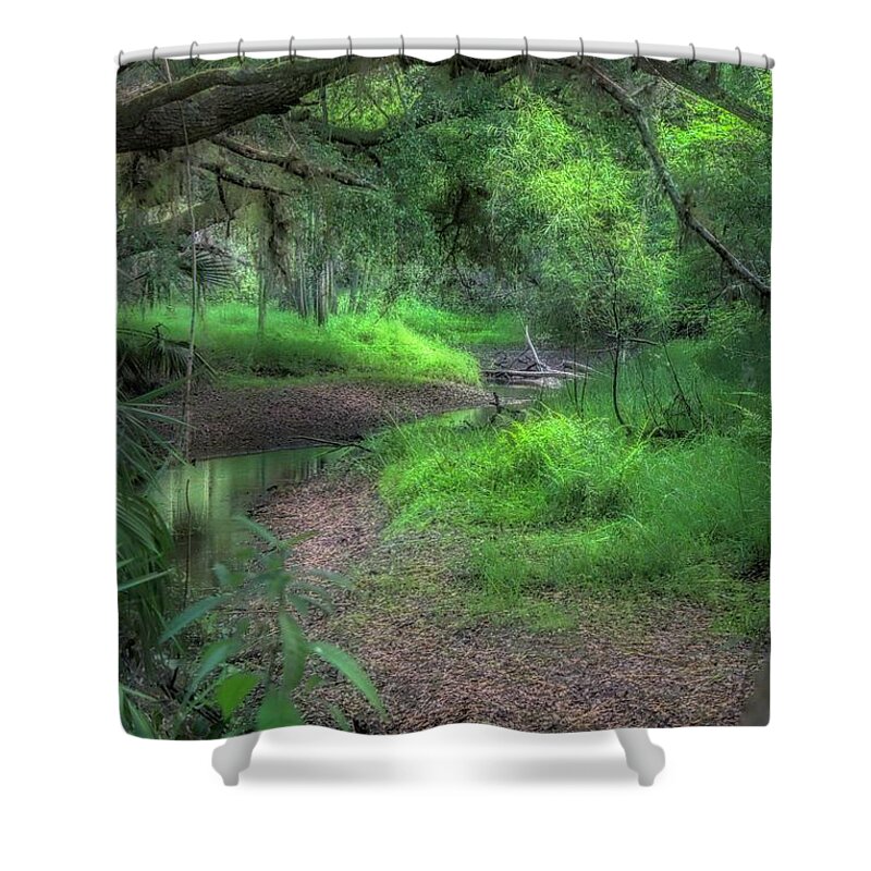 Parks Shower Curtain featuring the photograph Magical Green by Alison Belsan Horton