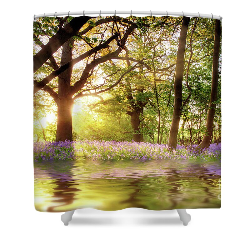 Bluebell Shower Curtain featuring the photograph Magical pond in bluebell forest by Simon Bratt