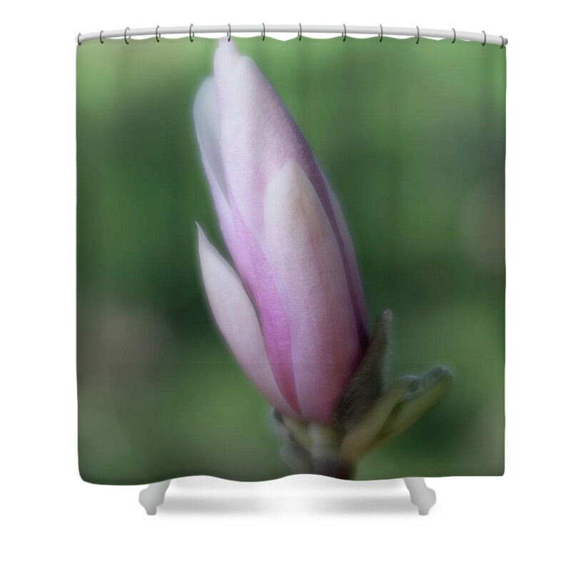 Magnolia Shower Curtain featuring the photograph Magnolia Bud by Forest Floor Photography