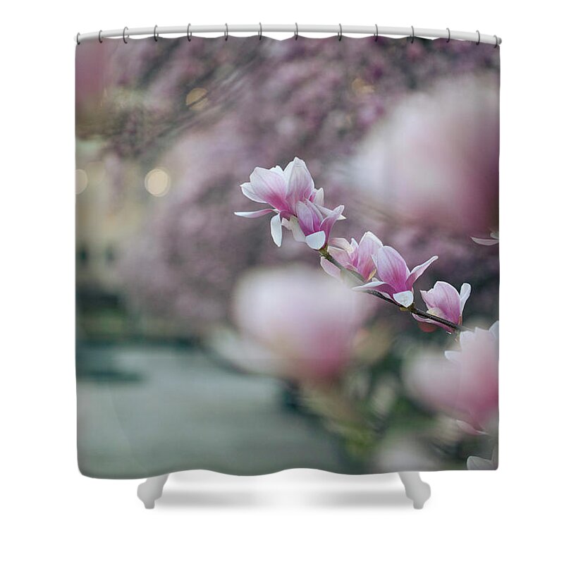 Flower Shower Curtain featuring the photograph Magnolias by Marlo Horne