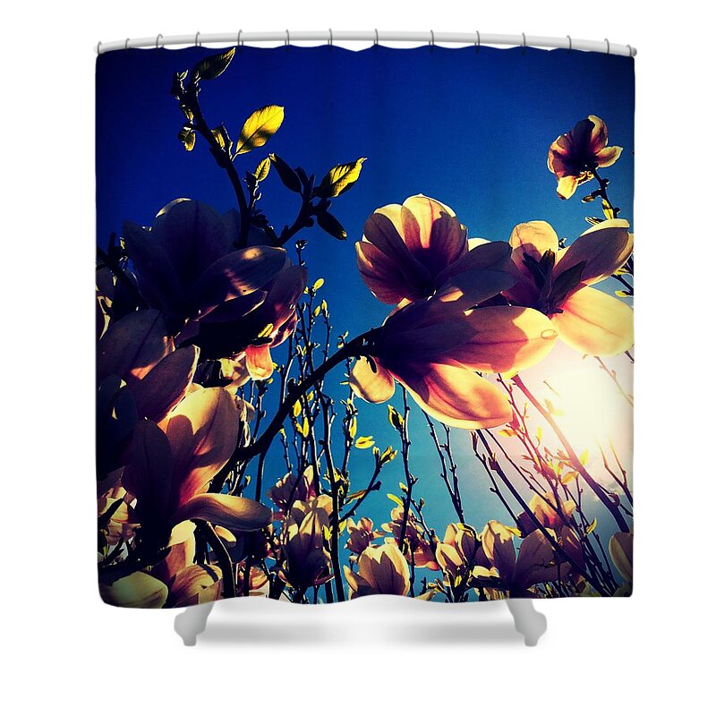 Magnolias Shower Curtain featuring the photograph Magnolias by Tanja Leuenberger