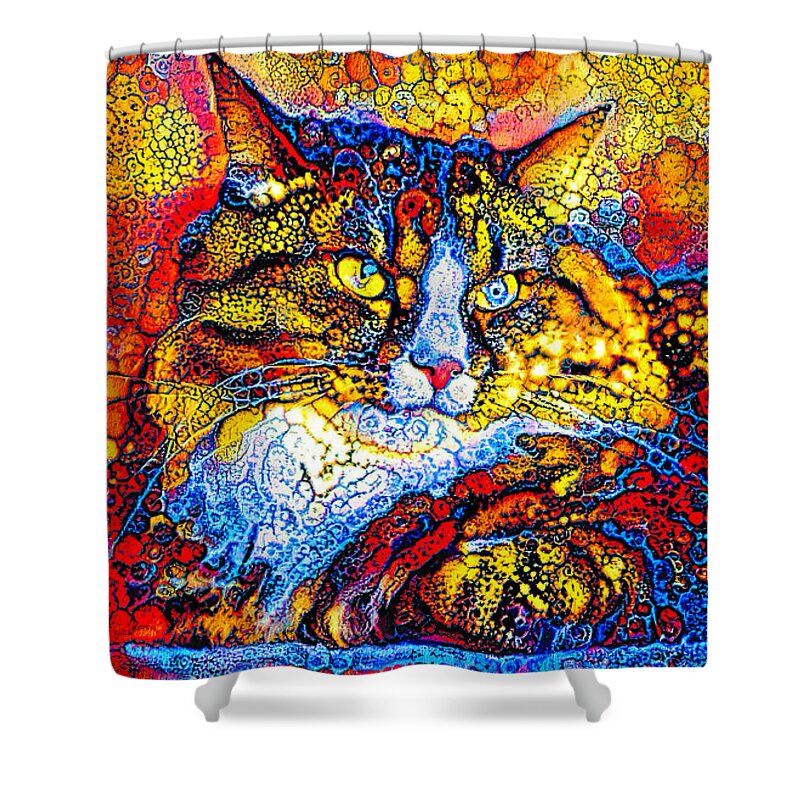 Maine Coon Shower Curtain featuring the digital art Maine Coon cat lying down - colorful bubble abstract art by Nicko Prints