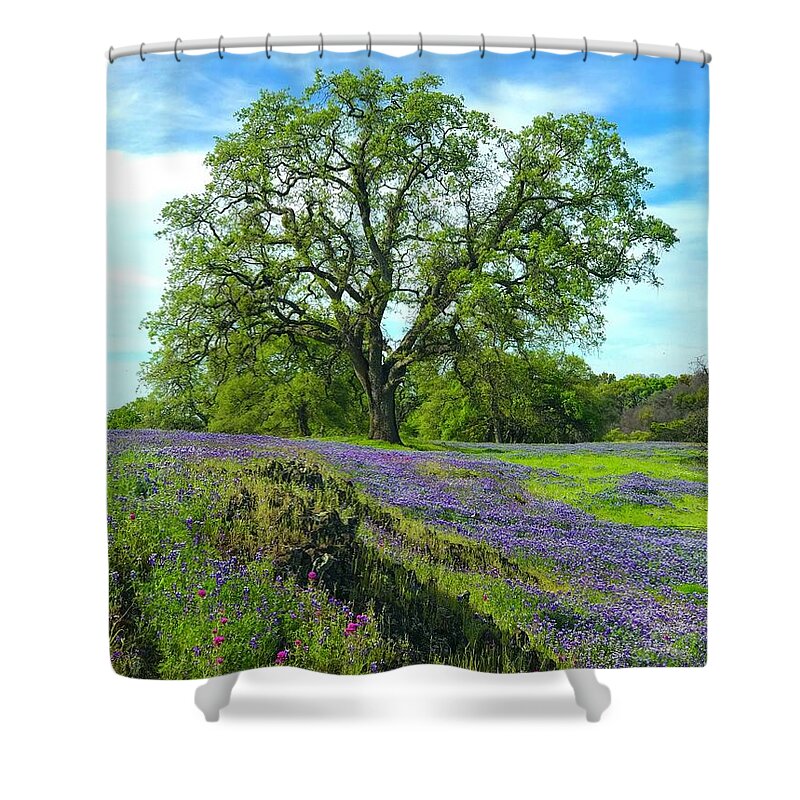 Trees Shower Curtain featuring the photograph Majestic Oak by Lisa Billingsley