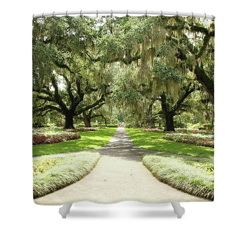 Park Shower Curtain featuring the photograph Majestic Oaks by Lens Art Photography By Larry Trager