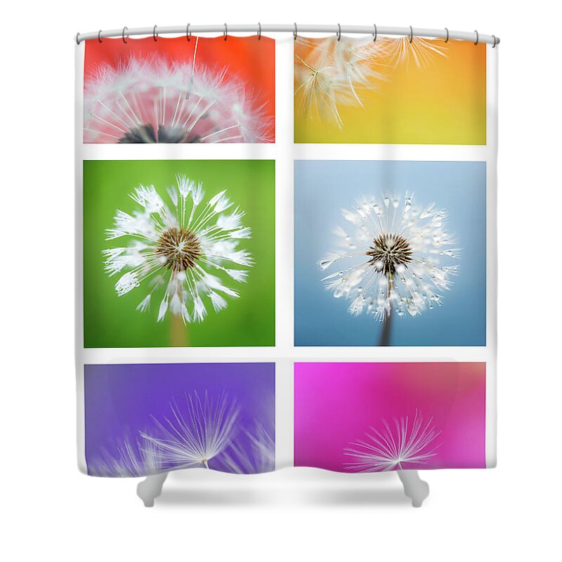 Abstract Shower Curtain featuring the photograph Make a Wish - Rainbow by Anita Nicholson