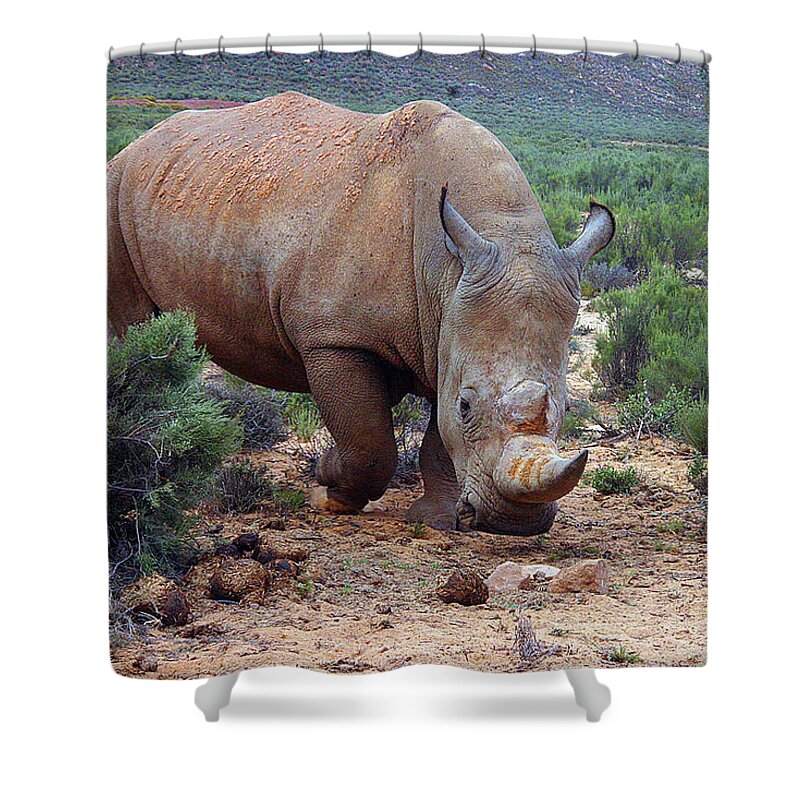 Rhino Shower Curtain featuring the photograph Make My Day by Carol Neal-Chicago