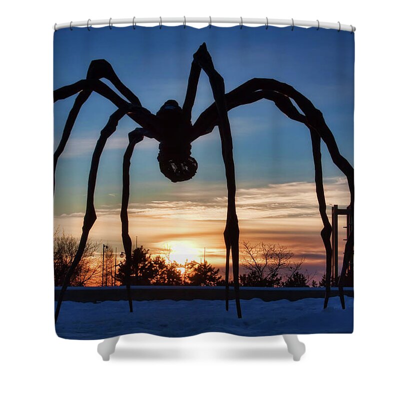 Maman Shower Curtain featuring the photograph Maman the Spider, Ottawa by Tatiana Travelways