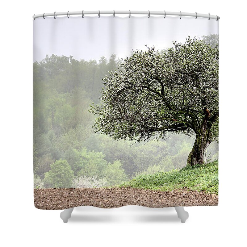 Trees Shower Curtain featuring the photograph Marilla Tree by Don Nieman