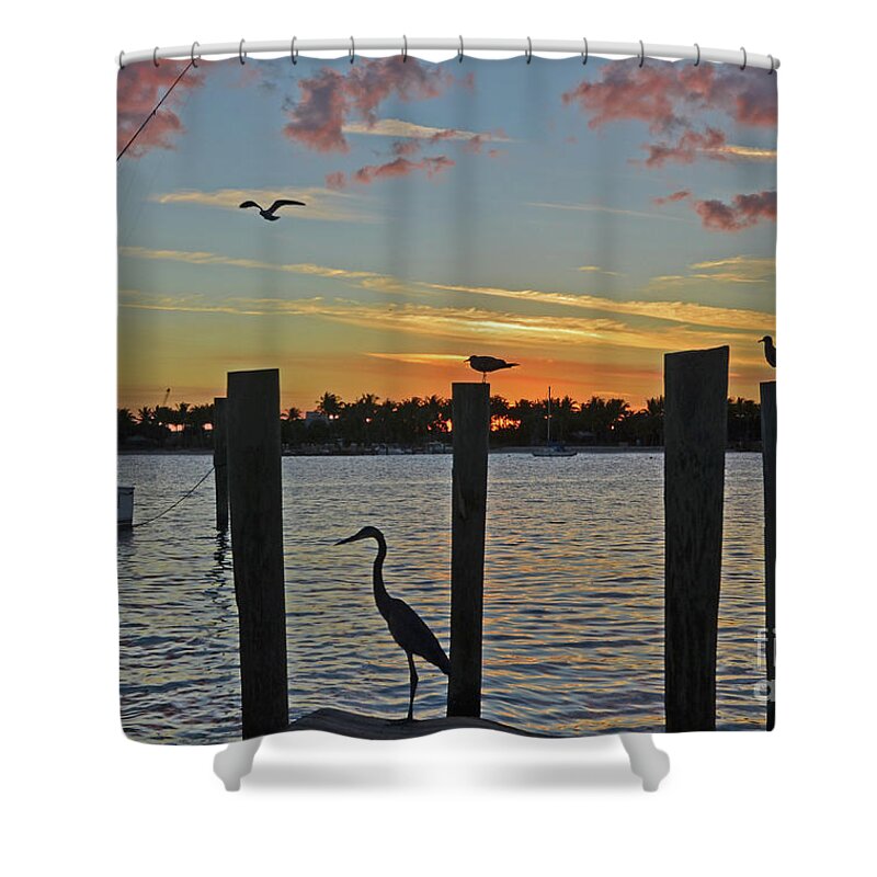 Sunset Shower Curtain featuring the photograph Marina Sunset by Joseph Keane