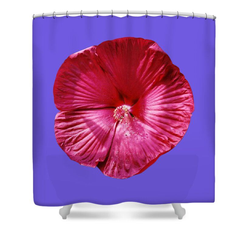 Flower Shower Curtain featuring the photograph Maroon Hardy Hibiscus by Nancy Ayanna Wyatt