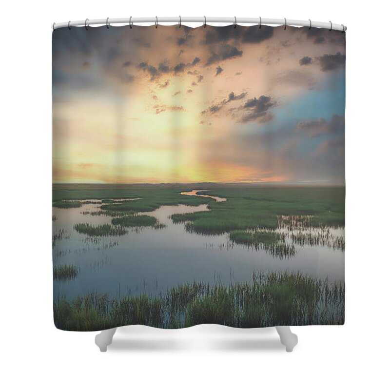 Landscapes Shower Curtain featuring the photograph Marshes of Glynn by DB Hayes