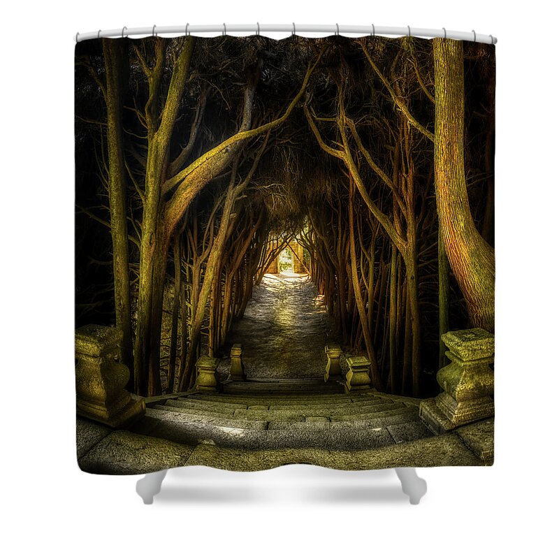 Portugal Shower Curtain featuring the photograph Mateus - Cypress tunnel from the top by Micah Offman
