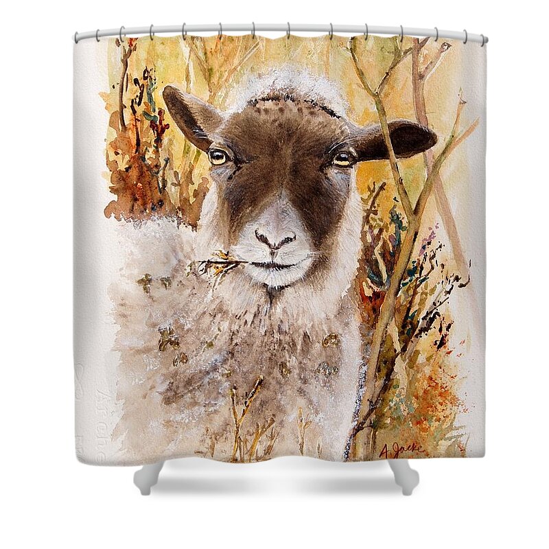 Sheep Shower Curtain featuring the painting Matilda by Anna Jacke