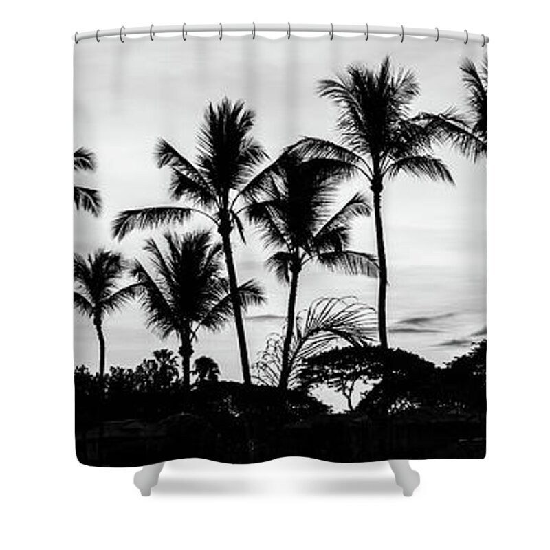 America Shower Curtain featuring the photograph Maui Hawaii Palm Trees Black and White Panorama Photo by Paul Velgos