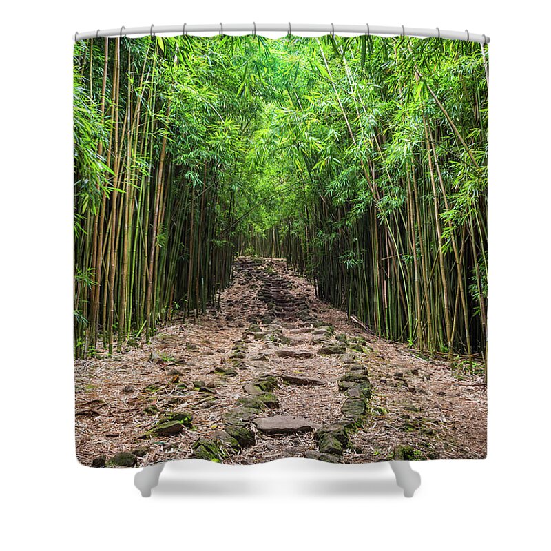 Bamboo Shower Curtain featuring the photograph Maui's Bamboo forest by Pierre Leclerc Photography