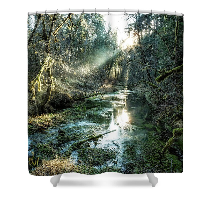 Tributary Shower Curtain featuring the photograph McKenzie River Tributary by Belinda Greb