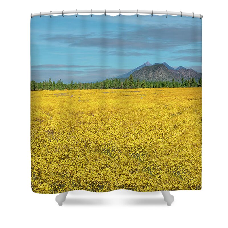 Arizona Shower Curtain featuring the photograph Meadow of Yellow Wildflowers by Jeff Goulden