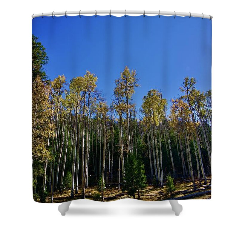  Shower Curtain featuring the photograph Medallon by Dennis Richardson