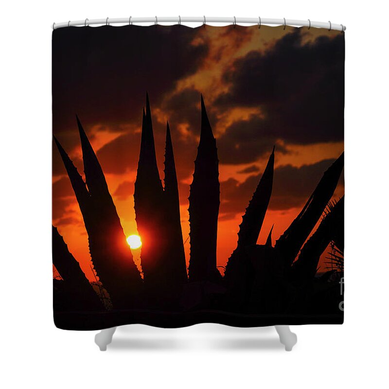 Mediterranean Shower Curtain featuring the photograph Mediterranean Sunset. a2 by Vladi Alon