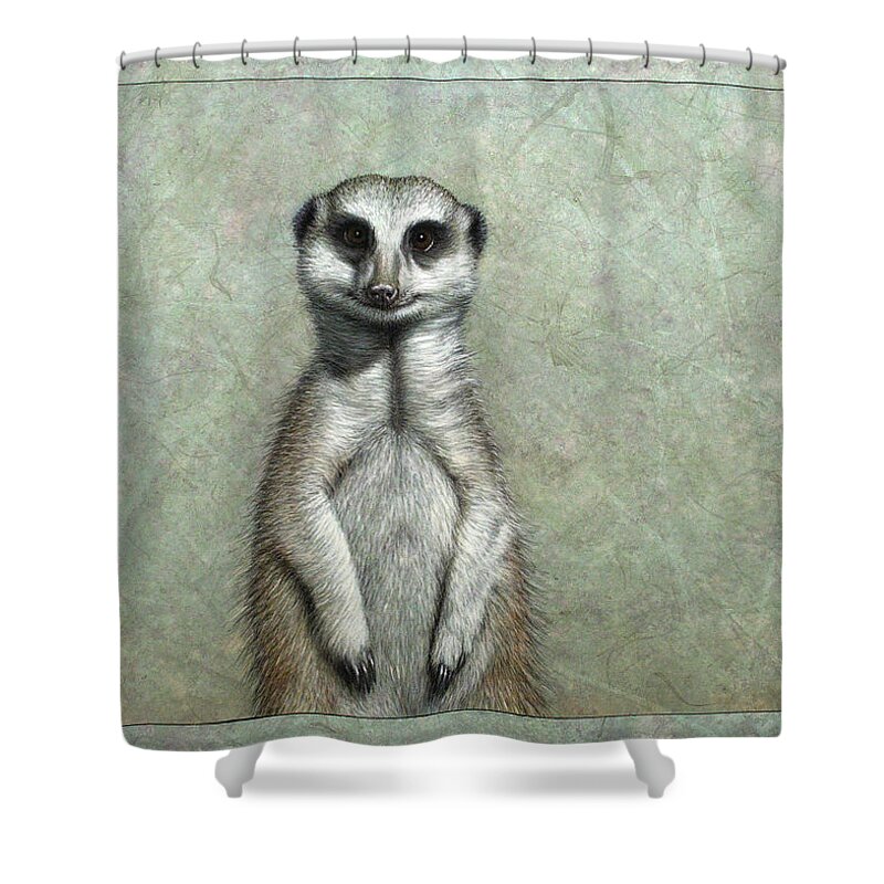 Meerkat Shower Curtain featuring the painting Meerkat by James W Johnson