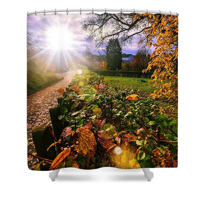 Fall Shower Curtain featuring the photograph Meet Me Under The Falling Leaves by Claudia Zahnd-Prezioso