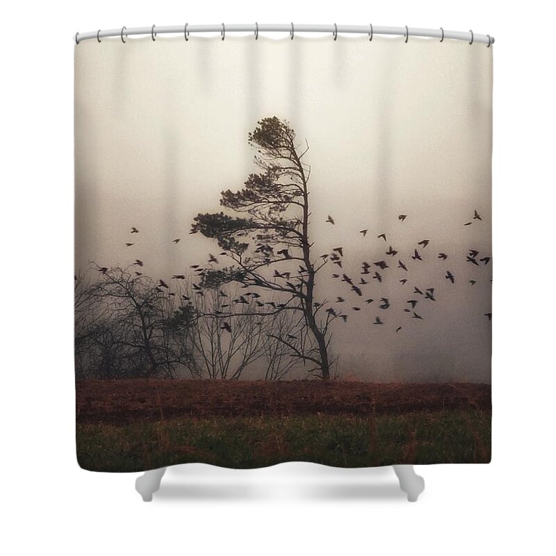 Melancholia Shower Curtain featuring the photograph Melancholia by Dark Whimsy
