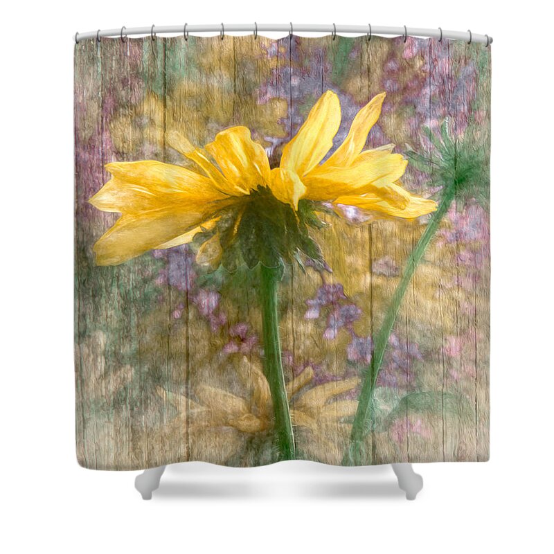  Shower Curtain featuring the photograph Mellow Yellow Dream by Shara Abel
