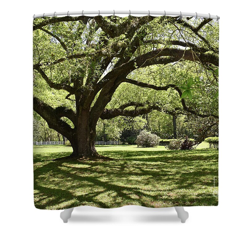 Melrose Shower Curtain featuring the photograph Melrose Estate, Natchez by Ron Long